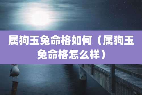 属狗玉兔命格如何(属狗玉兔命格怎么样)