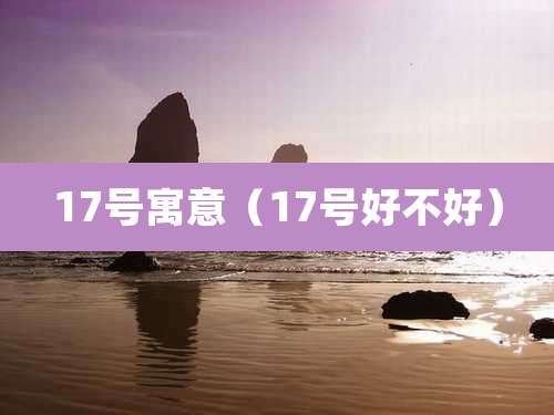 17号寓意(17号好不好)