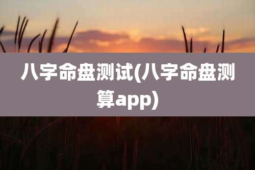 八字命盘测试(八字命盘测算app)