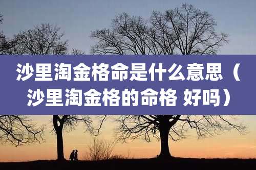 沙里淘金格命是什么意思(沙里淘金格的命格 好吗)