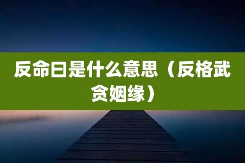 反命曰是什么意思(反格武贪姻缘)