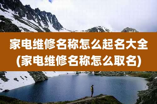 家电维修名称怎么起名大全(家电维修名称怎么取名)