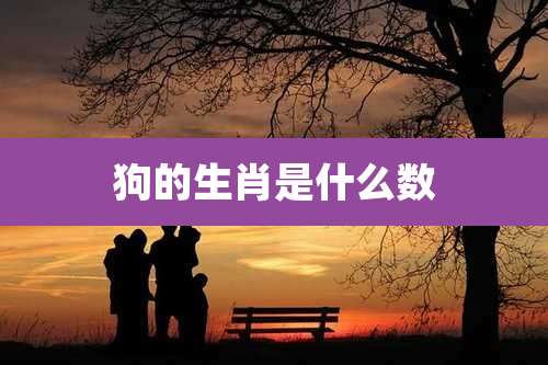 狗的生肖是什么数