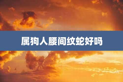 属狗人腰间纹蛇好吗