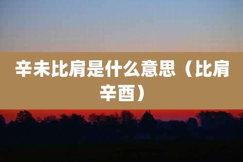 辛未比肩是什么意思(比肩辛酉)