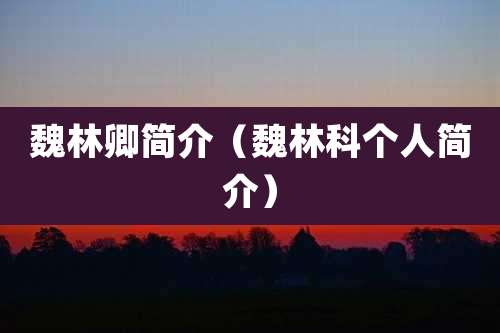 魏林卿简介(魏林科个人简介)
