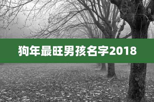 狗年最旺男孩名字2018