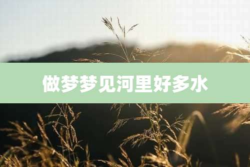 做梦梦见河里好多水