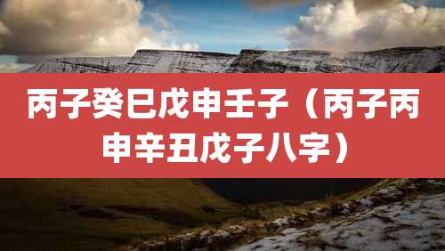 丙子癸巳戊申壬子（丙子丙申辛丑戊子八字）