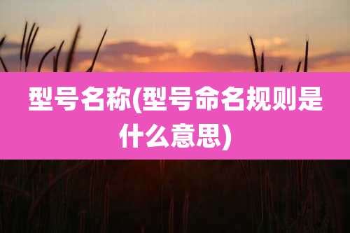 型号名称(型号命名规则是什么意思)