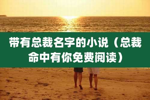 带有总裁名字的小说(总裁命中有你免费阅读)