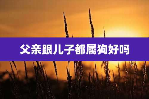 父亲跟儿子都属狗好吗