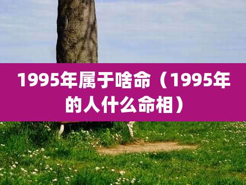 1995年属于啥命（1995年的人什么命相）
