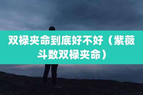 双禄夹命到底好不好(紫薇斗数双禄夹命)