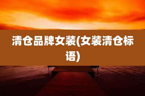 清仓品牌女装(女装清仓标语)