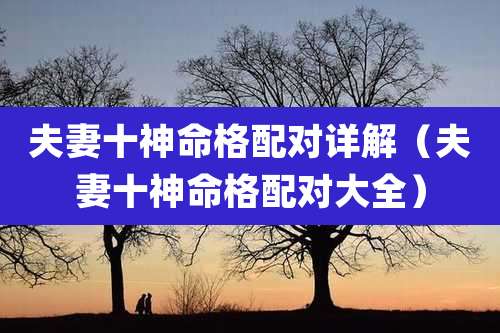 夫妻十神命格配对详解(夫妻十神命格配对大全)