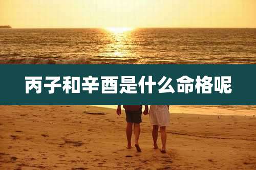 丙子和辛酉是什么命格呢