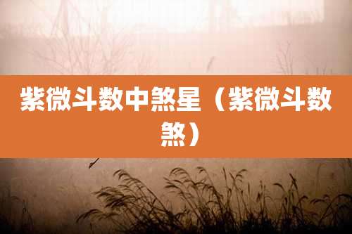 紫微斗数中煞星(紫微斗数 煞)