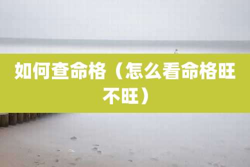 如何查命格（怎么看命格旺不旺）