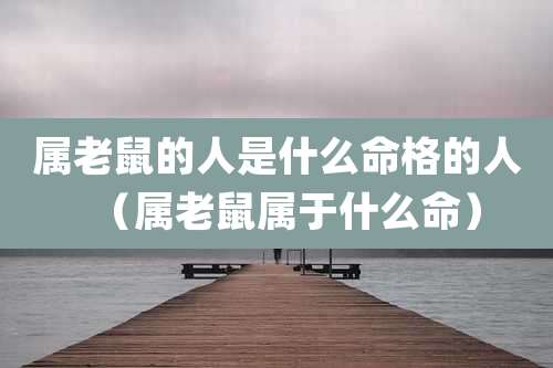 属老鼠的人是什么命格的人（属老鼠属于什么命）