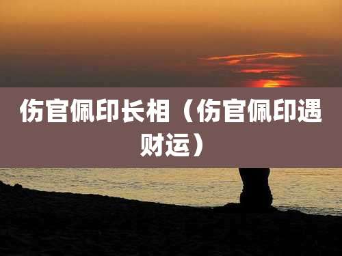 伤官佩印长相(伤官佩印遇财运)