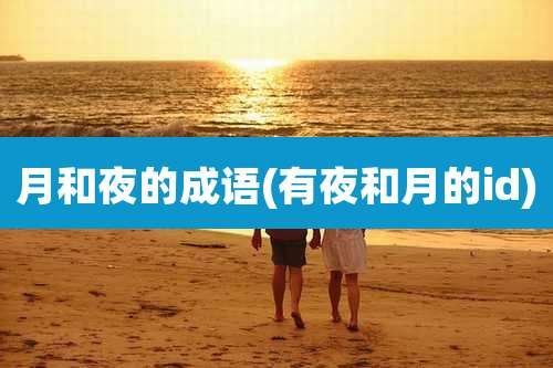 月和夜的成语(有夜和月的id)