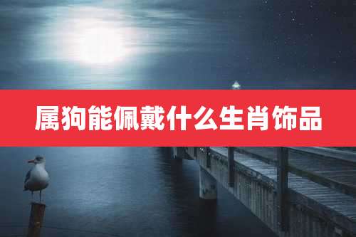 属狗能佩戴什么生肖饰品