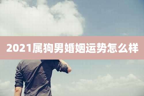 2021属狗男婚姻运势怎么样