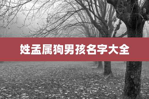 姓孟属狗男孩名字大全