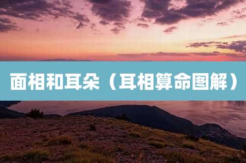 面相和耳朵(耳相算命图解)