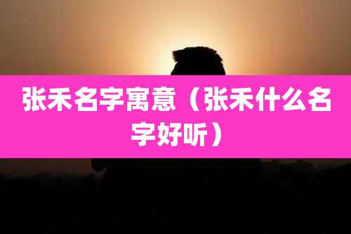 张禾名字寓意(张禾什么名字好听)