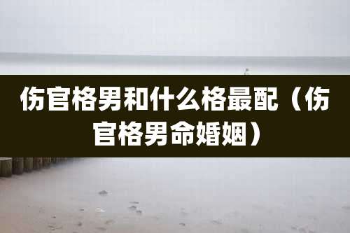 伤官格男和什么格最配(伤官格男命婚姻)