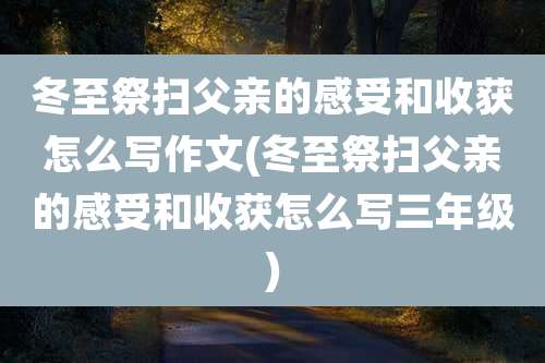 冬至祭扫父亲的感受和收获怎么写作文(冬至祭扫父亲的感受和收获怎么写三年级)