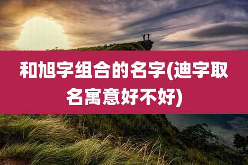 和旭字组合的名字(迪字取名寓意好不好)