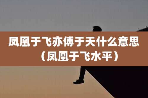 凤凰于飞亦傅于天什么意思（凤凰于飞水平）