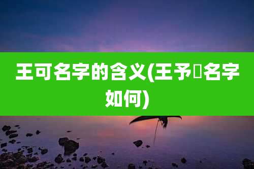 王可名字的含义(王予燊名字如何)