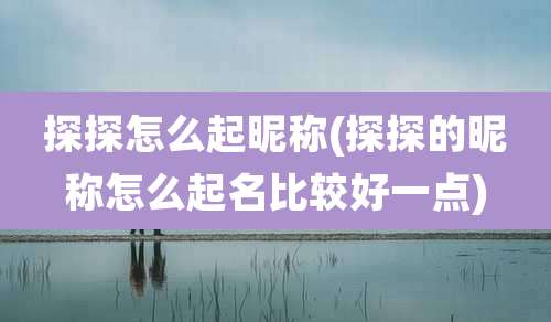 探探怎么起昵称(探探的昵称怎么起名比较好一点)