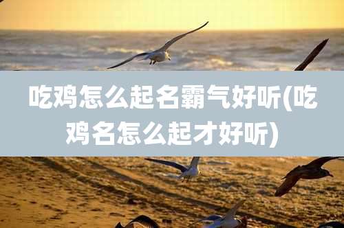 吃鸡怎么起名霸气好听(吃鸡名怎么起才好听)