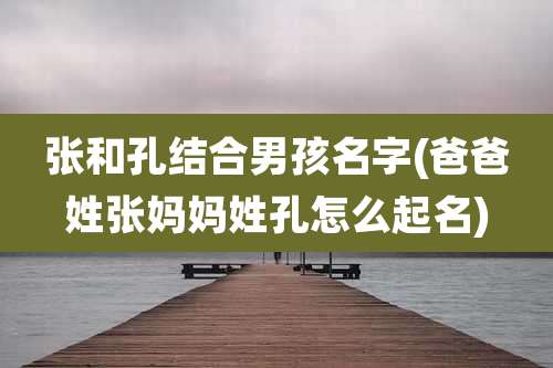 张和孔结合男孩名字(爸爸姓张妈妈姓孔怎么起名)