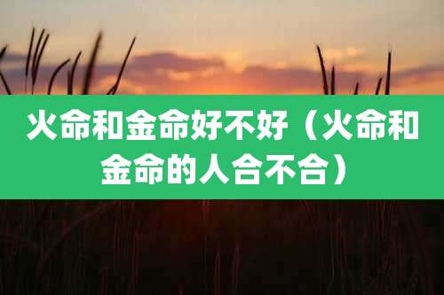 火命和金命好不好(火命和金命的人合不合)