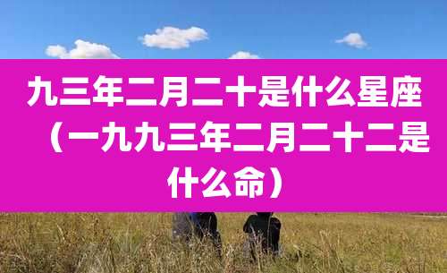 九三年二月二十是什么星座(一九九三年二月二十二是什么命)