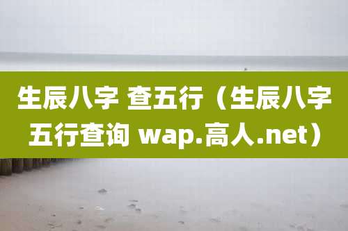 生辰八字 查五行(生辰八字五行查询 wap.高人.net)