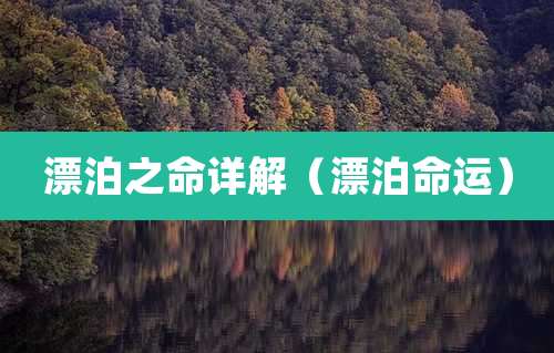 漂泊之命详解(漂泊命运)