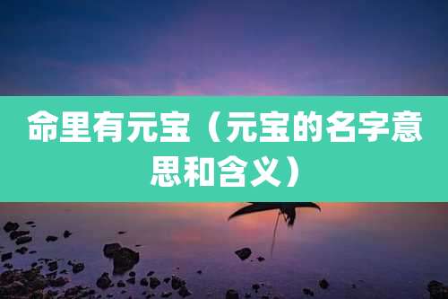 命里有元宝(元宝的名字意思和含义)
