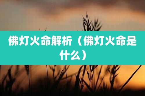 佛灯火命解析(佛灯火命是什么)
