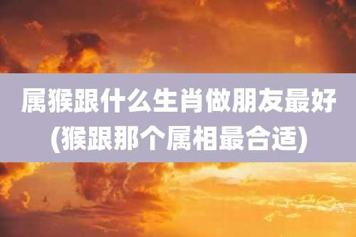 属猴跟什么生肖做朋友最好(猴跟那个属相最合适)