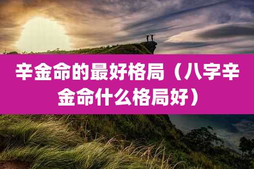 辛金命的最好格局(八字辛金命什么格局好)