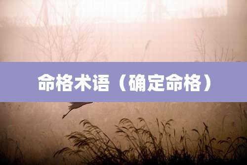 命格术语(确定命格)