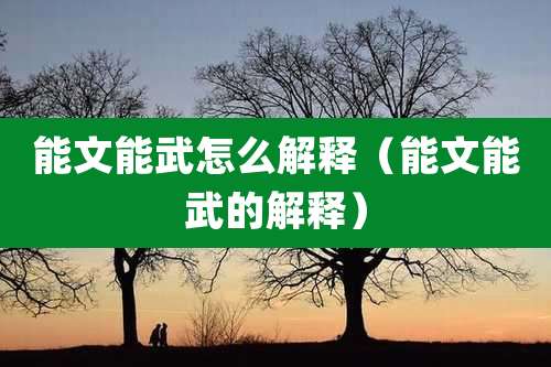 能文能武怎么解释(能文能武的解释)