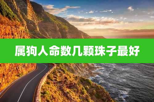 属狗人命数几颗珠子最好